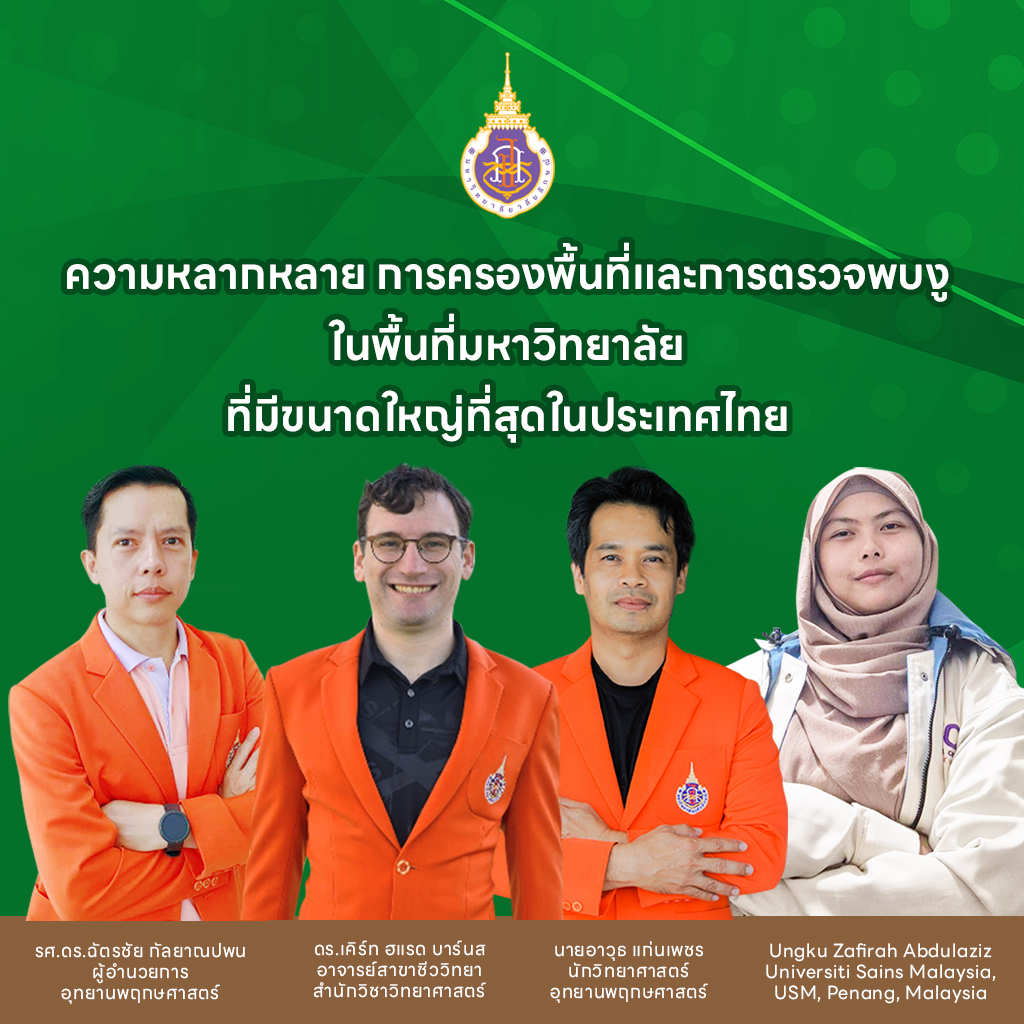 ความหลากหลาย การครองพื้นที่ และการตรวจพบงูในพื้นที่มหาวิทยาลัยที่มีขนาดใหญ่ที่สุดในประเทศไทย