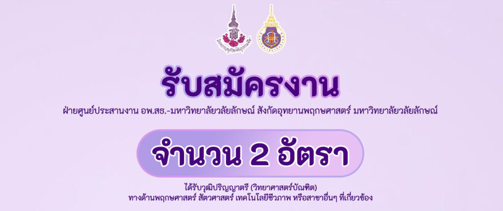 รับสมัครงาน