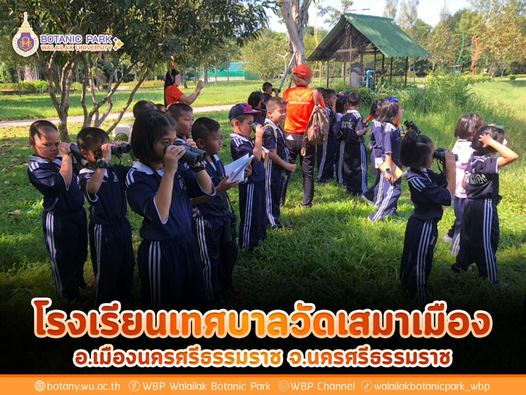 โรงเรียนเทศบาลวัดเสมาเมือง จ.นครศรีธรรมราช