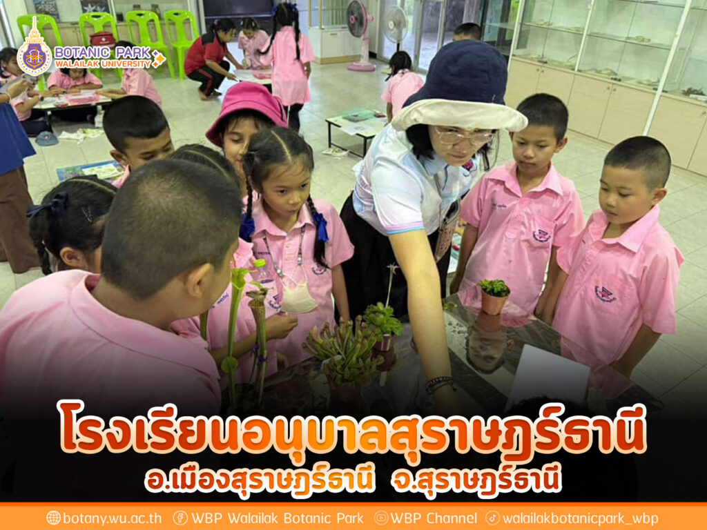 โรงเรียนอนุบาลสุราษฎร์ธานี