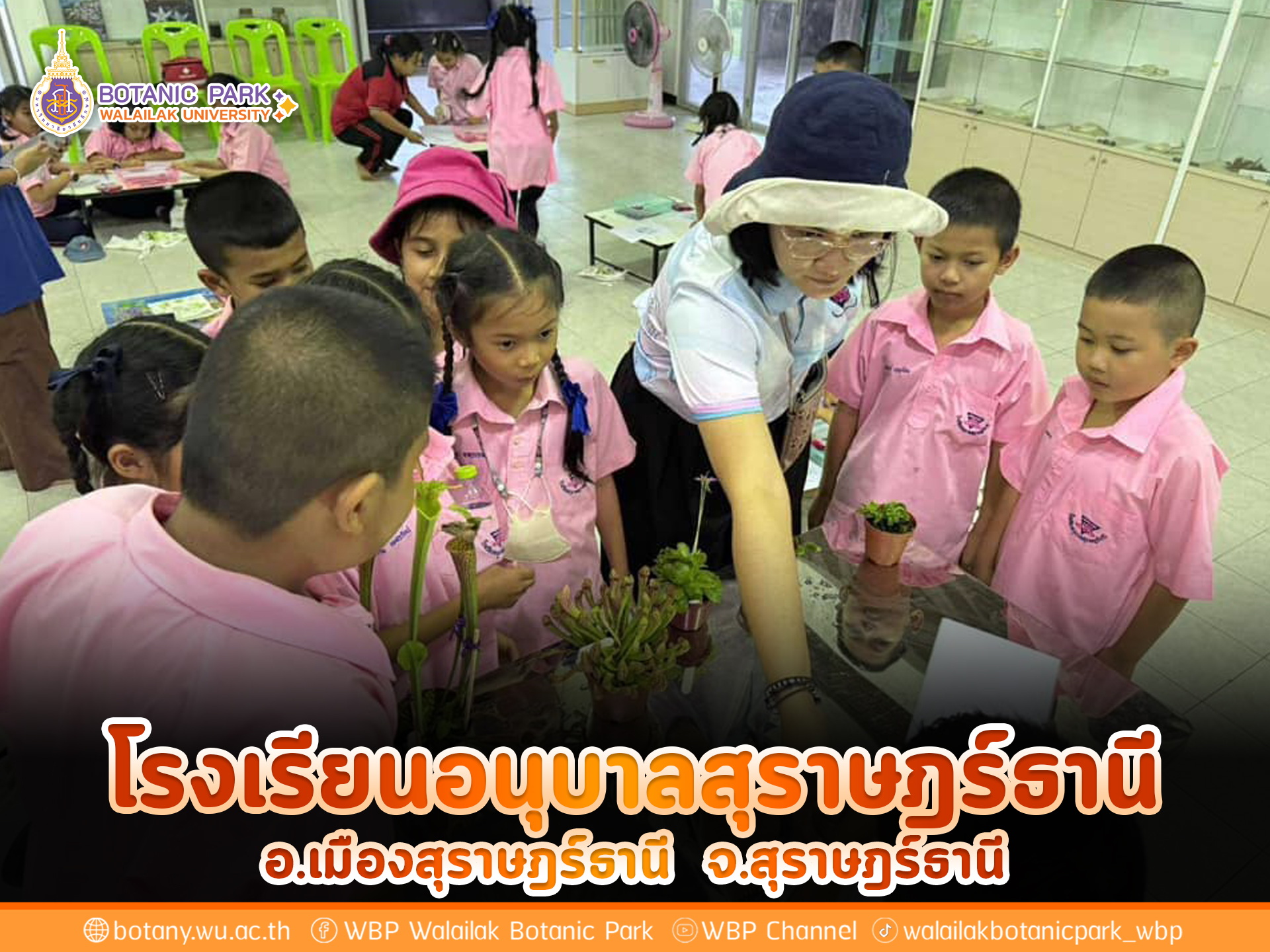 โรงเรียนอนุบาลสุราษฎร์ธานี