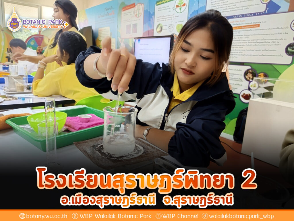 โรงเรียนสุราษฎร์พิทยา 2