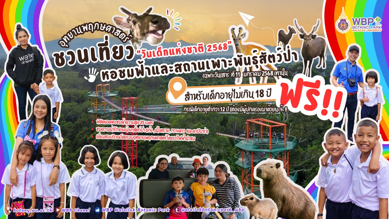 Promotion วันเด็กที่ 11 มกราคม 2568