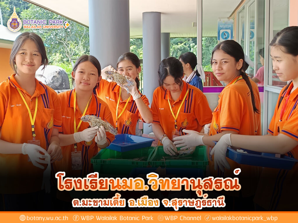 กิจกรรมสตาฟปู โรงเรียนมอ.วิทยานุสรณ์