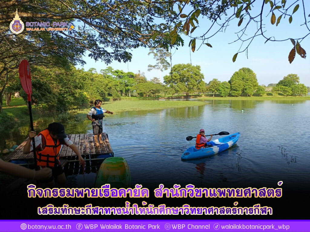 กิจกรรมพายเรือคายัค สำนักวิชาแพทยศาสตร์ ม.วลัยลักษณ์ เสริมทักษะกีฬาทางน้ำให้นักศึกษาวิทยาศาสตร์การกีฬา