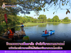 กิจกรรมพายเรือคายัค สำนักวิชาแพทยศาสตร์ ม.วลัยลักษณ์ เสริมทักษะกีฬาทางน้ำให้นักศึกษาวิทยาศาสตร์การกีฬา