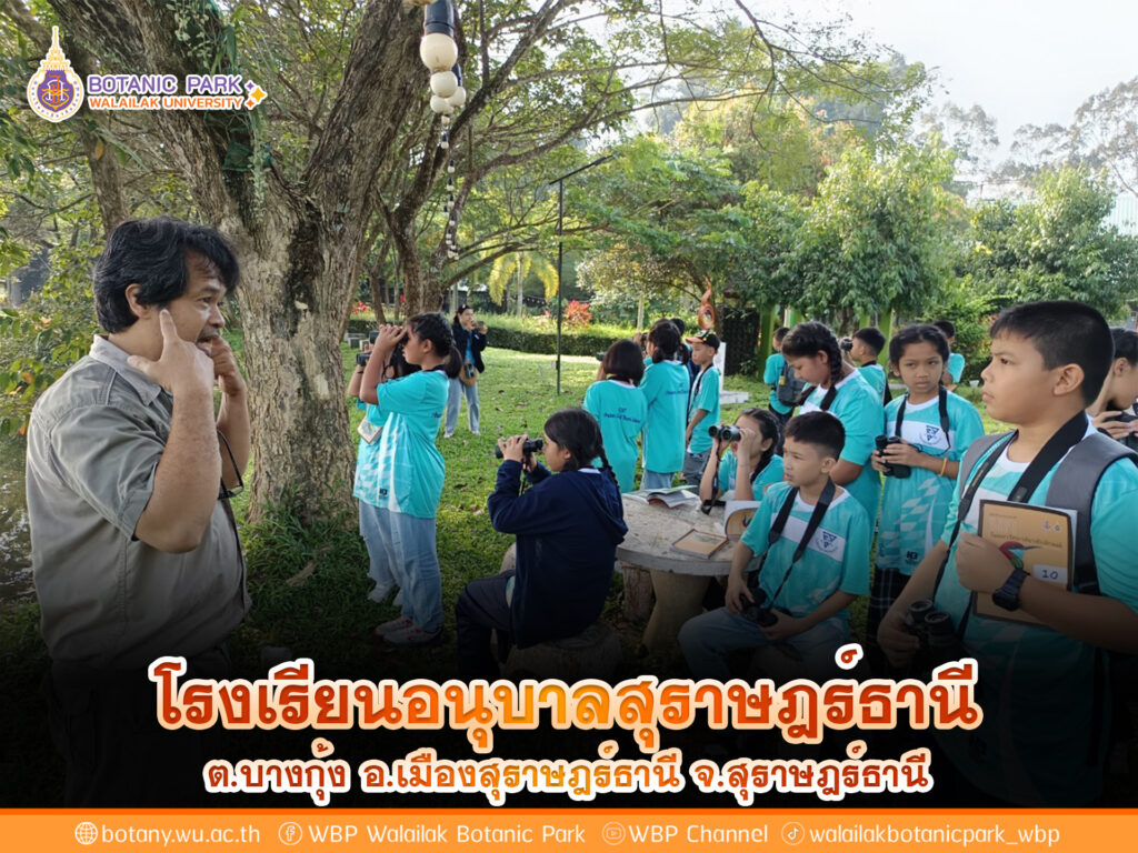 ค่ายวิทยาศาสตร์ นักเรียนอนุบาลสุราษฎร์ธานีเรียนรู้กิจกรรม STEM และสิ่งแวดล้อม