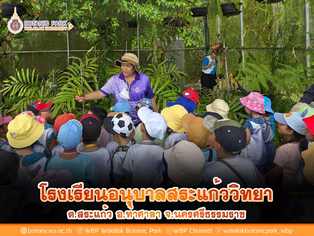 โรงเรียนอนุบาลสระแก้ววิทยา