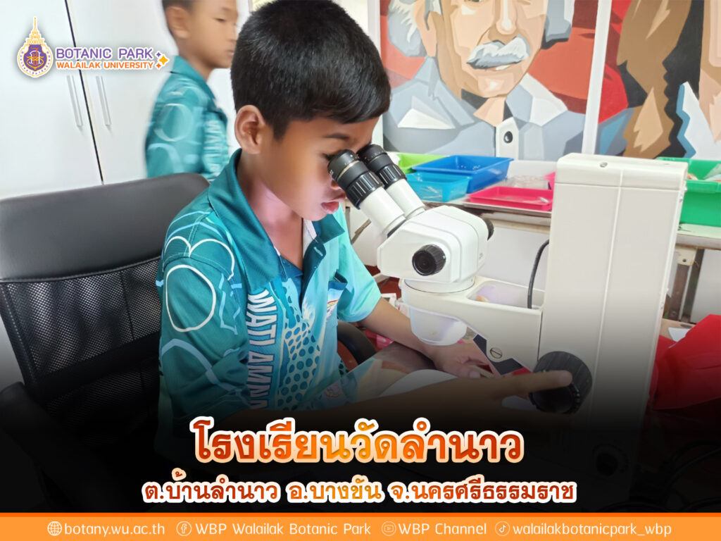 โรงเรียนวัดลำนาว