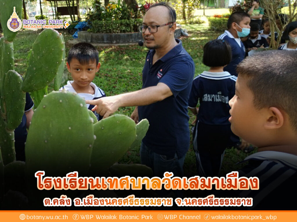 โรงเรียนเทศบาลวัดเสมาเมือง