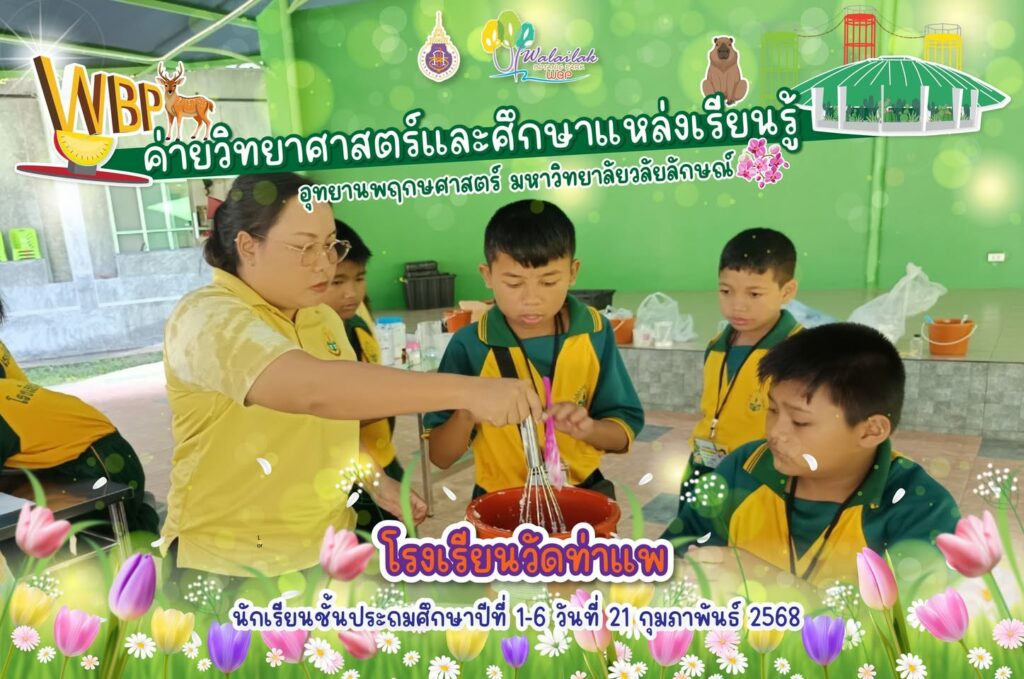 โรงเรียนวัดท่าแพ