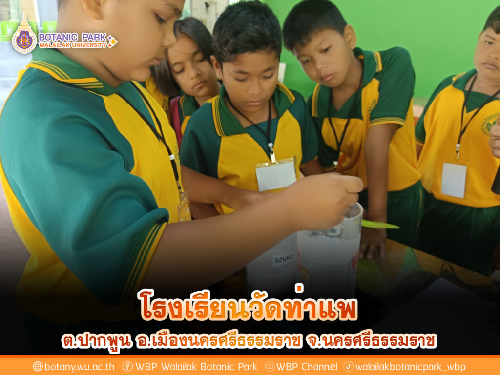 โรงเรียนวัดท่าแพ