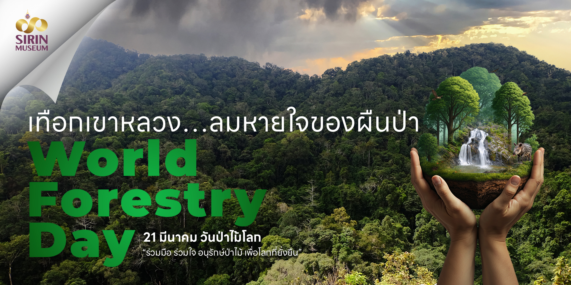 พิทักษ์ป่า รักษาธรรมชาติ เนื่องในวันป่าไม้โลก 21 มีนาคม