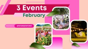 สรุปผลการจัดกิจกรรม เทศกาลแห่งความประทับใจ 3 Events February