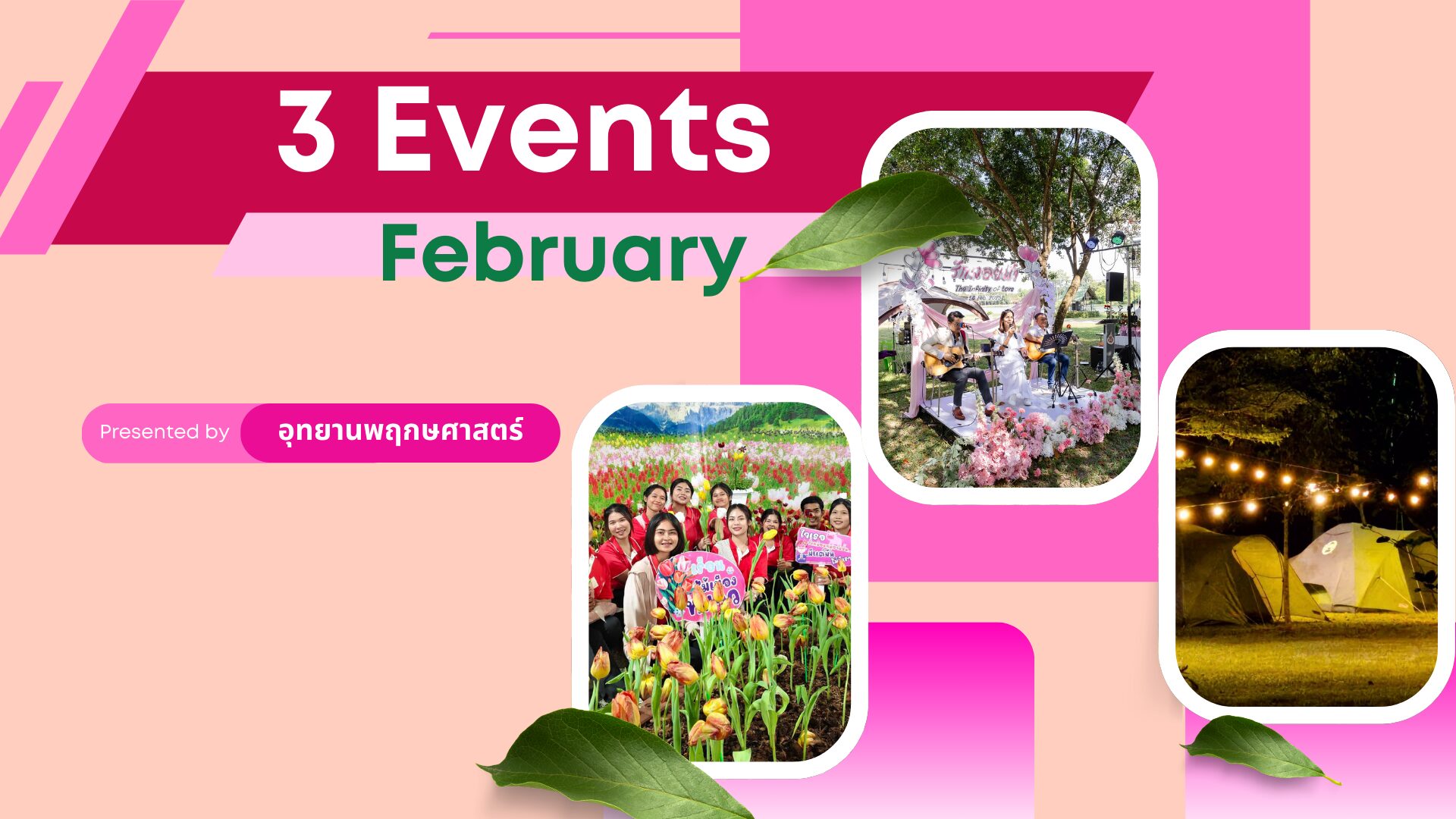 สรุปผลการจัดกิจกรรม เทศกาลแห่งความประทับใจ 3 Events February