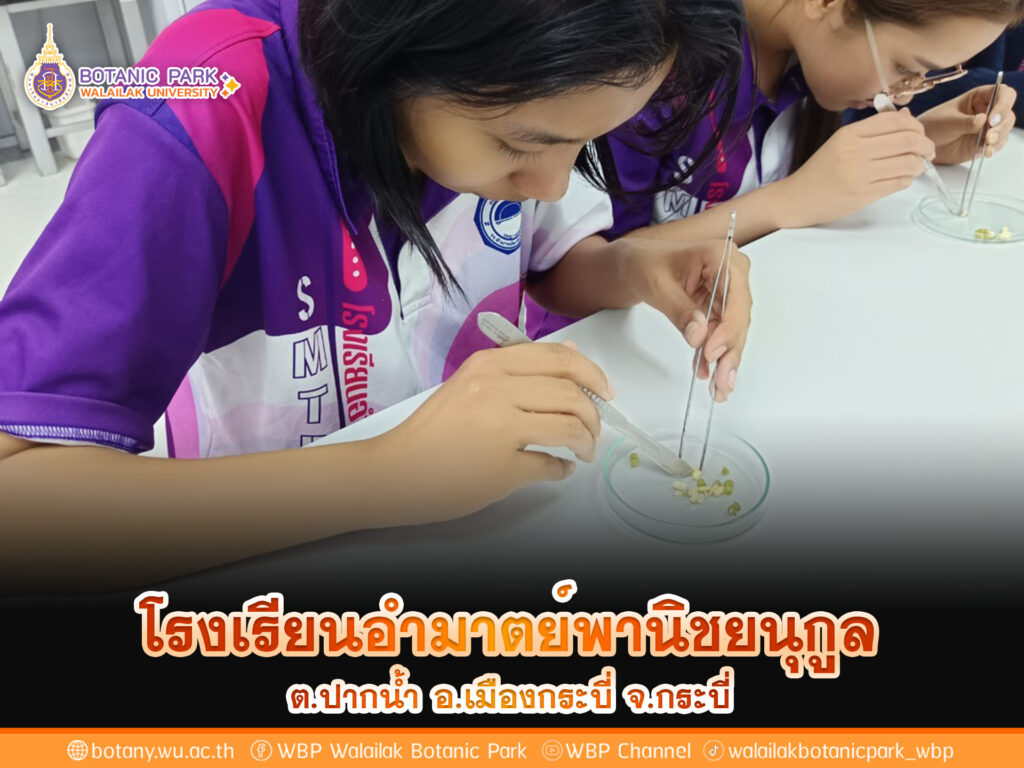 โรงเรียนอำมาตย์พานิชยนุกูล
