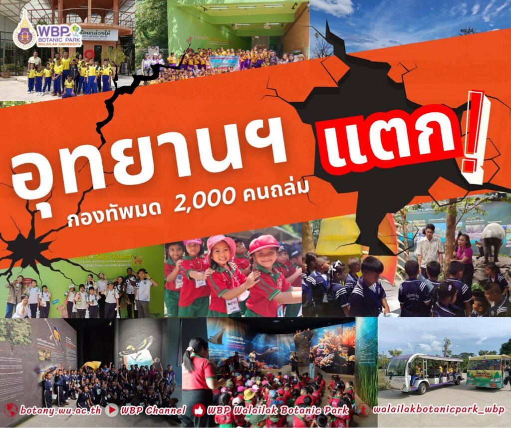 “อุทยานแตก!” นักเรียน-นักศึกษากว่า 2,000 คน ร่วมกิจกรรมเฉลิมพระเกียรติ ณ อุทยานพฤกษศาสตร์ ม.วลัยลักษณ์