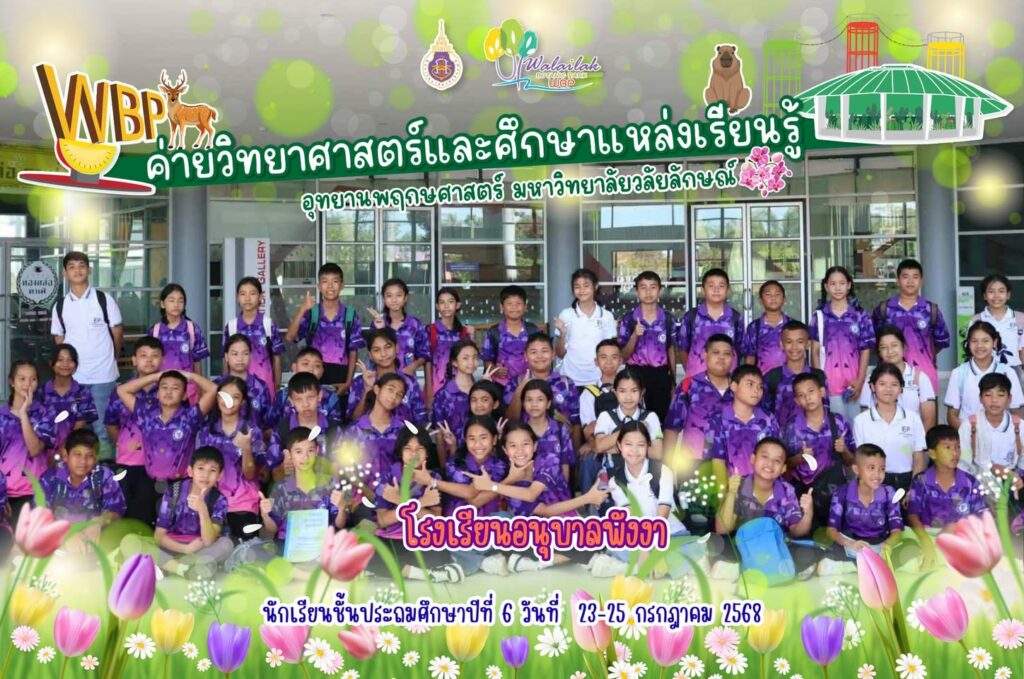 โรงเรียนอนุบาลพังงา