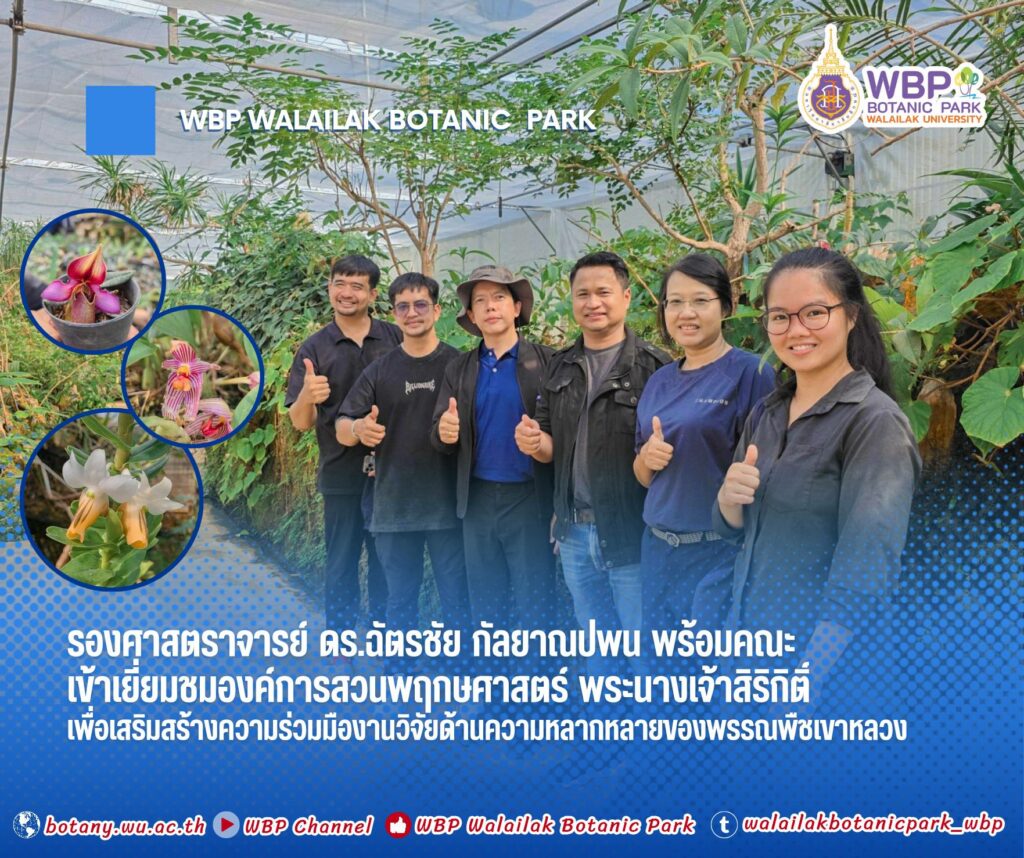 อุทยานพฤกษศาสตร์ ม.วลัยลักษณ์ เข้าเยี่ยมชมองค์การสวนพฤกษศาสตร์ พระนางเจ้าสิริกิติ์ เพื่อเสริมสร้างความร่วมมือด้านวิจัยความหลากหลายของพรรณพืชเขาหลวง