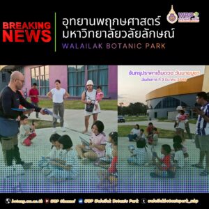 จัดกิจกรรม “ชวนแลหวัน” พาชมจันทรุปราคาเต็มดวง คืนวันมาฆบูชา สร้างประสบการณ์เรียนรู้ดาราศาสตร์กลางธรรมชาติ