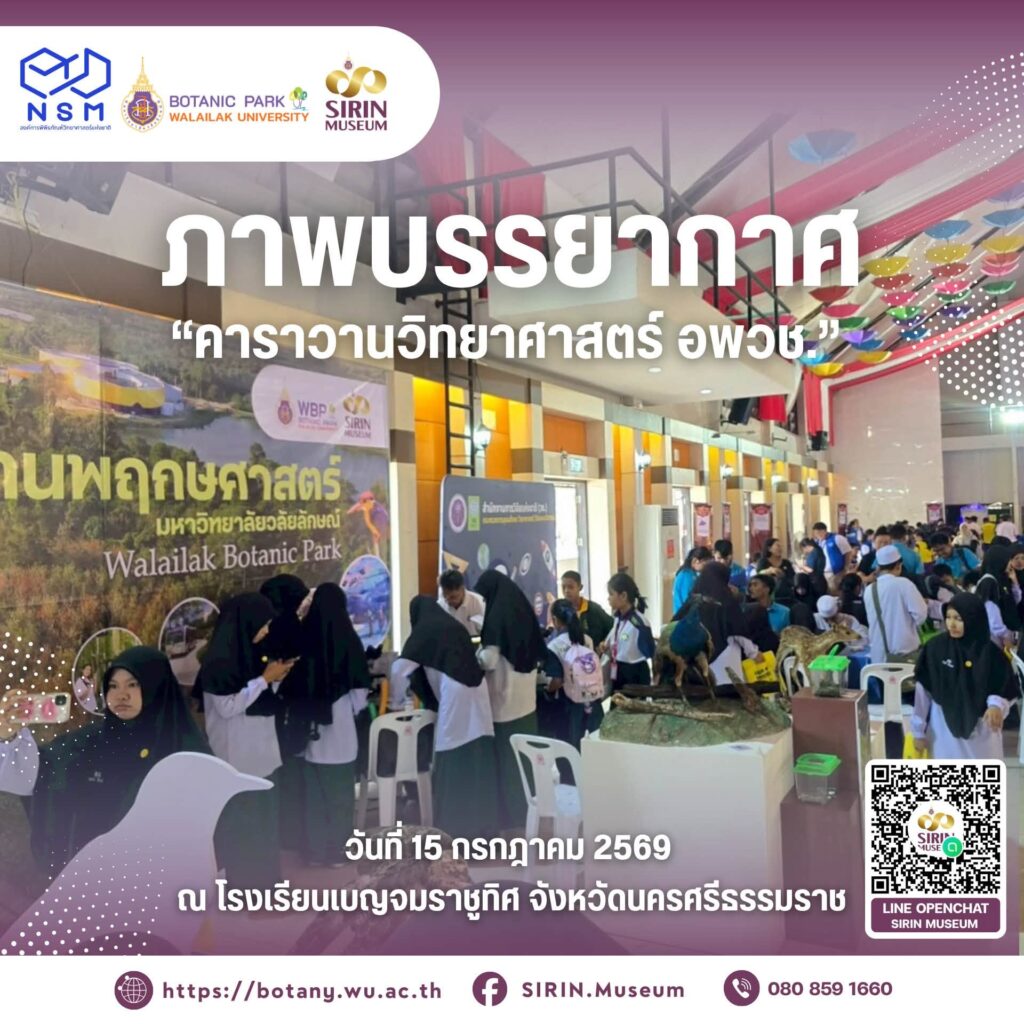 ประมวลบรรยากาศวันที่ 2 งานคาราวานวิทยาศาสตร์ อพวช. บูท SCI-VERSE : ฟ้า ป่า ทะเล จาก SIRIN MUSEUM และอุทยานพฤกษศาสตร์ มหาวิทยาลัยวลัยลักษณ์