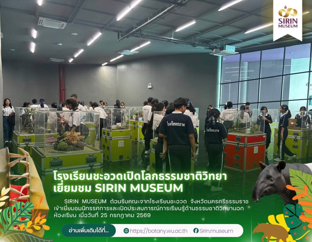 โรงเรียนชะอวดเปิดโลกธรรมชาติวิทยา เยี่ยมชม SIRIN MUSEUM