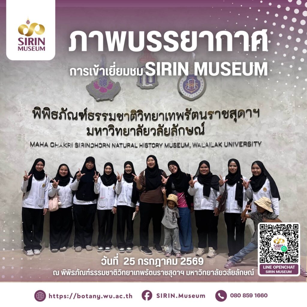 นักศึกษาชีววิทยาประยุกต์ มรภ.ยะลา เปิดโลกธรรมชาติวิทยา ณ SIRIN MUSEUM
