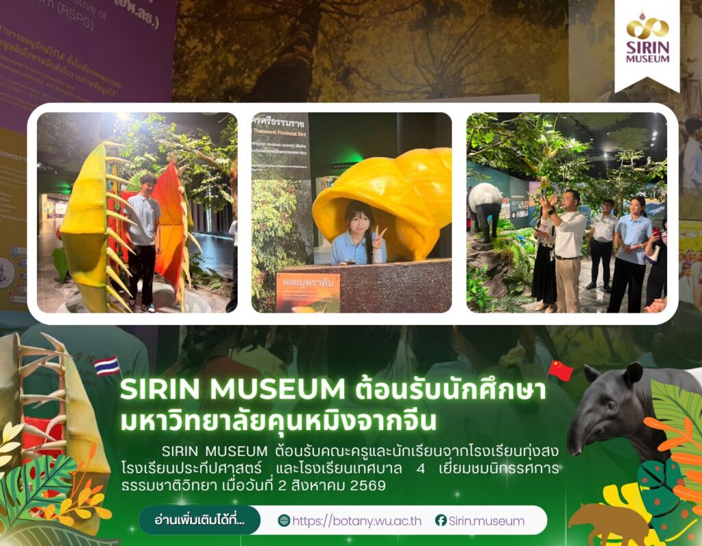 SIRIN MUSEUM ต้อนรับนักศึกษามหาวิทยาลัยคุนหมิงจากประเทศจีน