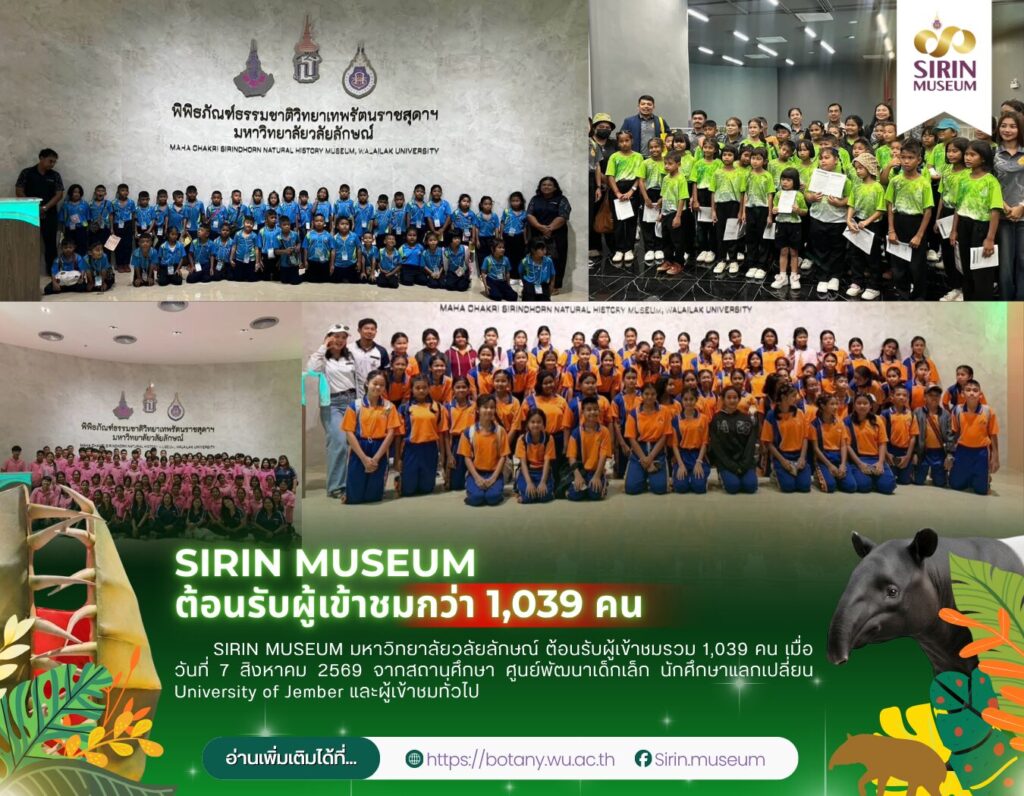 SIRIN MUSEUM มหาวิทยาลัยวลัยลักษณ์ ต้อนรับผู้เข้าชมรวม 1,039 คน เมื่อวันที่ 7 สิงหาคม 2569 จากสถานศึกษา ศูนย์พัฒนาเด็กเล็ก นักศึกษาแลกเปลี่ยน University of Jember และผู้เข้าชมทั่วไป