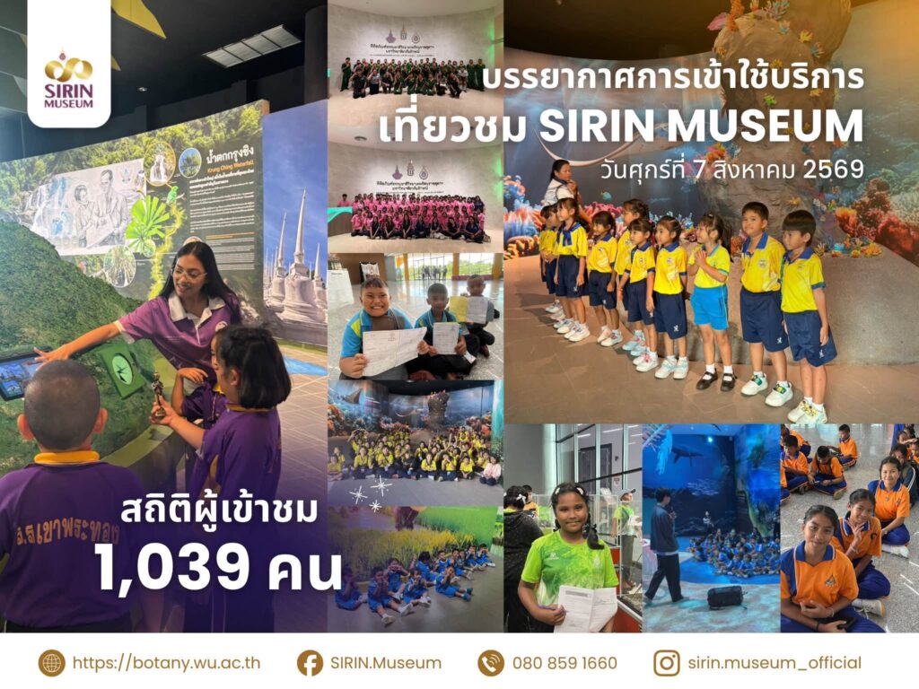 SIRIN MUSEUM มหาวิทยาลัยวลัยลักษณ์ ต้อนรับผู้เข้าชมรวม 1,039 คน เมื่อวันที่ 7 สิงหาคม 2569 จากสถานศึกษา ศูนย์พัฒนาเด็กเล็ก นักศึกษาแลกเปลี่ยน University of Jember และผู้เข้าชมทั่วไป