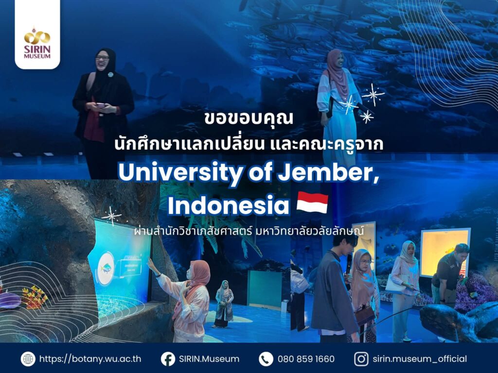 SIRIN MUSEUM ต้อนรับนักศึกษาแลกเปลี่ยน University of Jember อินโดนีเซีย