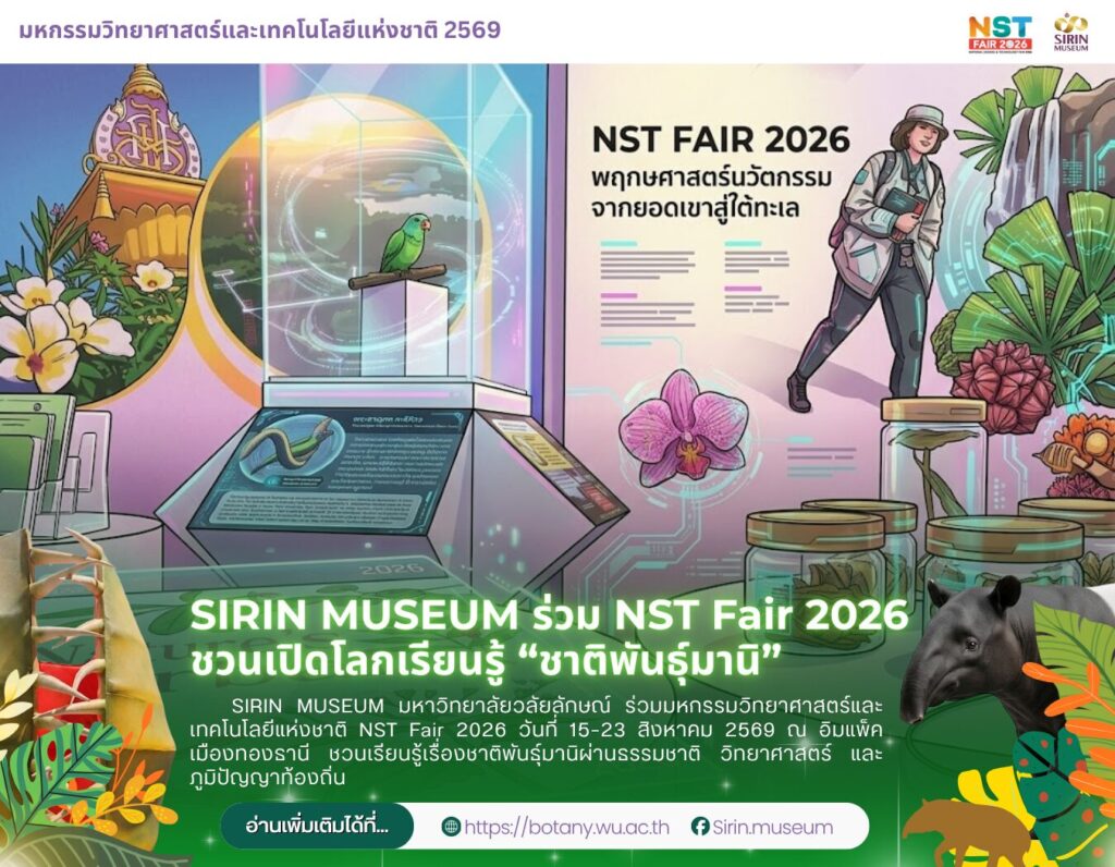 SIRIN MUSEUM ร่วม NST Fair 2026 เปิดโลกเรียนรู้ชาติพันธุ์มานิ