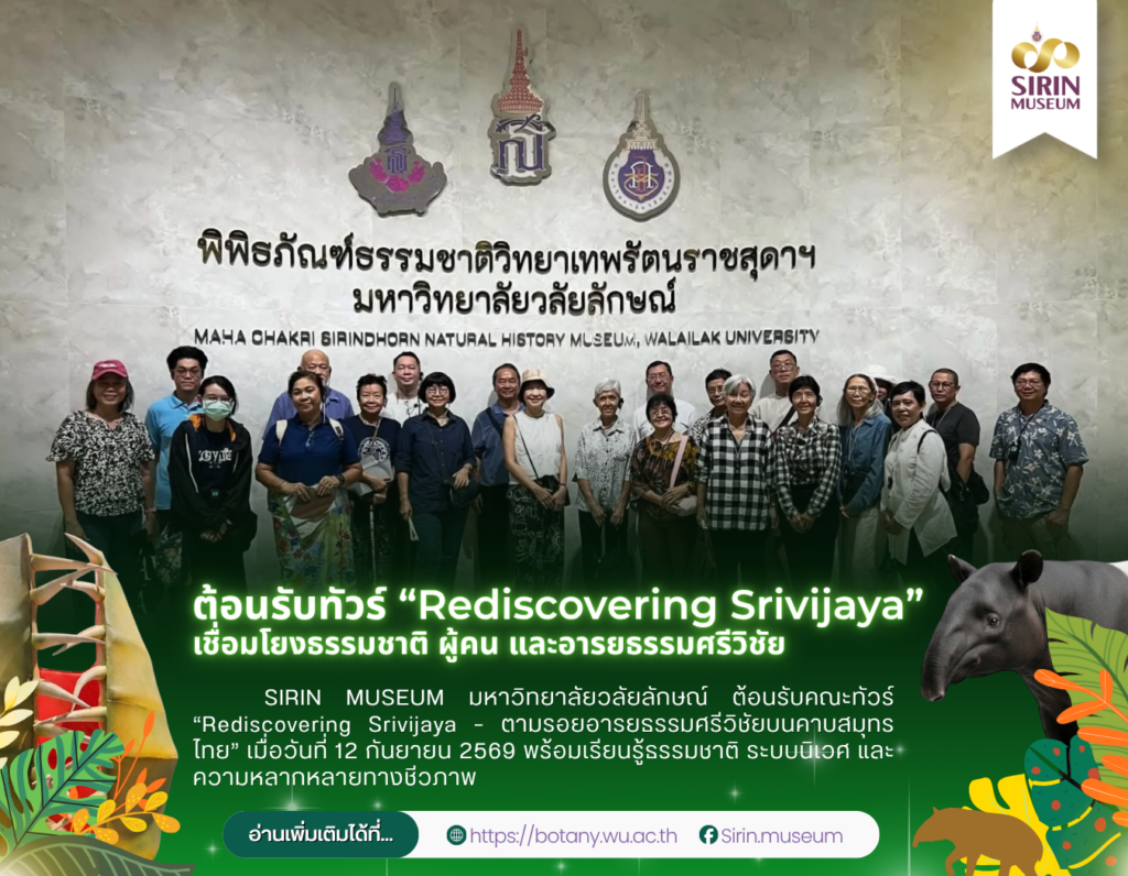SIRIN MUSEUM ต้อนรับคณะทัวร์ Rediscovering Srivijaya ตามรอยอารยธรรมศรีวิชัย
