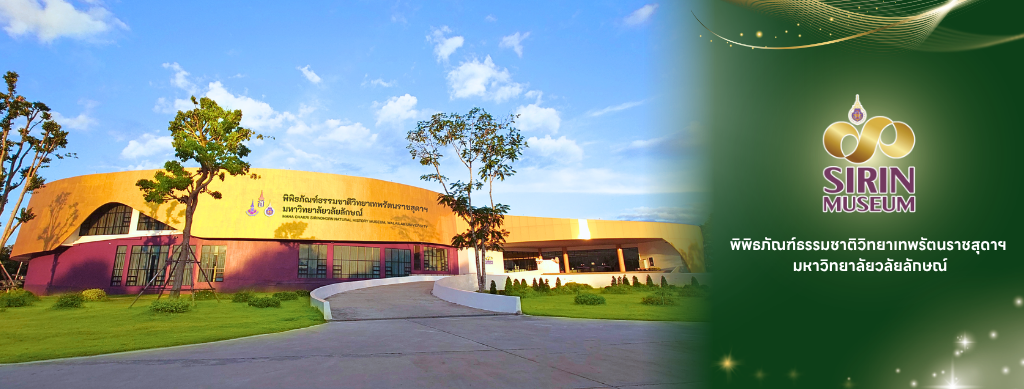 Sirin museum