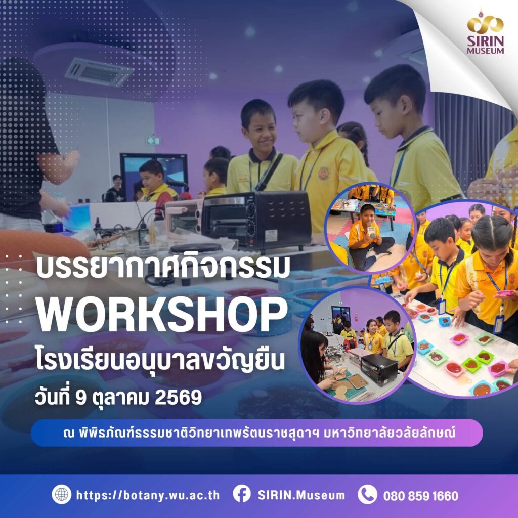 SIRIN MUSEUM จัด Workshop สร้างสรรค์ ต้อนรับโรงเรียนอนุบาลขวัญยืน