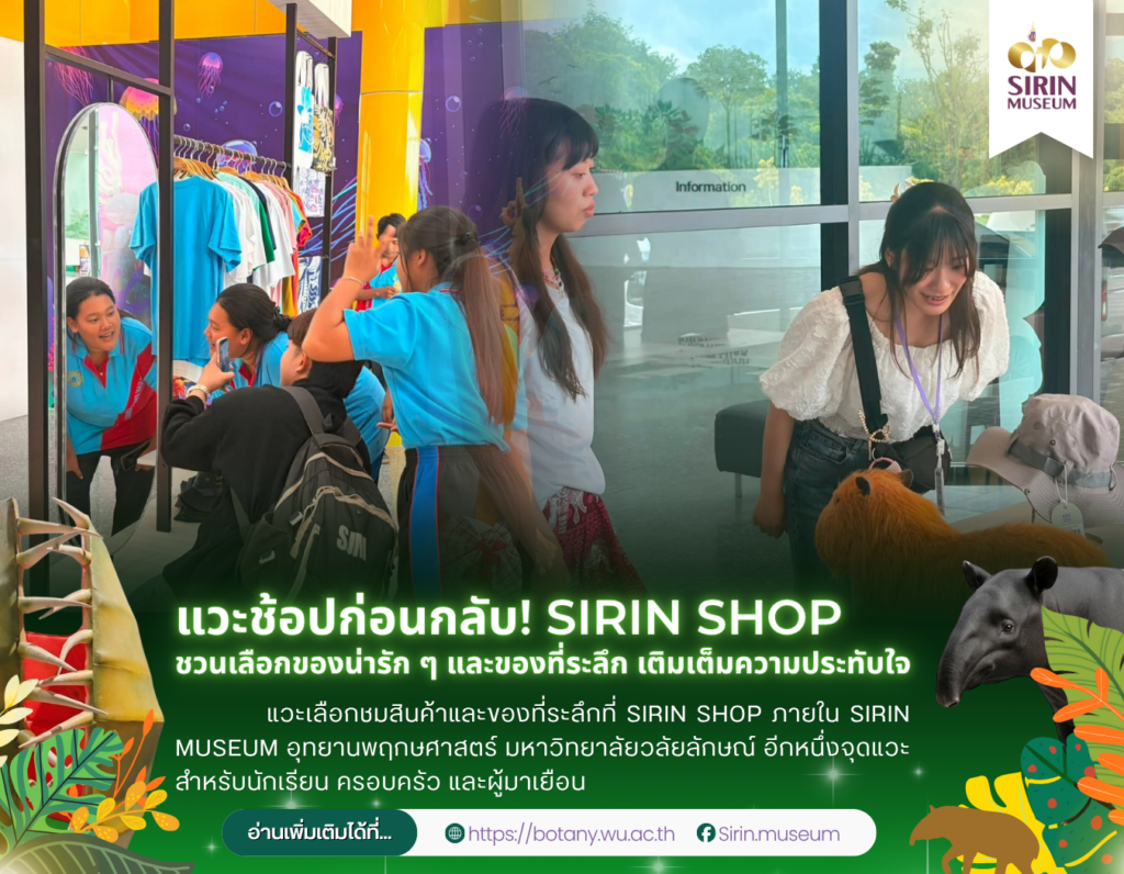 SIRIN SHOP ชวนช้อปของที่ระลึก เติมเต็มทริปเที่ยว SIRIN MUSEUM