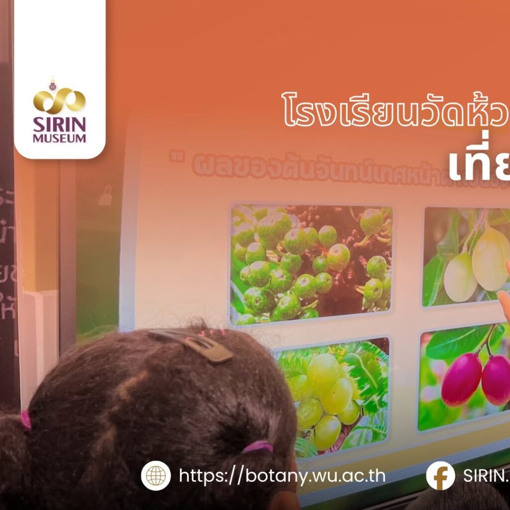 SIRIN MUSEUM มหาวิทยาลัยวลัยลักษณ์ ต้อนรับครูและนักเรียนจากโรงเรียนวัดห้วยพระและโรงเรียนบ้านไสส้าน เมื่อวันที่ 29 กันยายน 2569