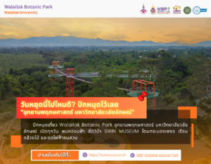 12/10/69 เที่ยวอุทยานพฤกษศาสตร์ มหาวิทยาลัยวลัยลักษณ์ เปิดทุกวัน ครบทั้งธรรมชาติและแหล่งเรียนรู้